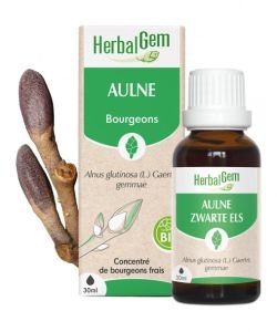 Aulne (Alnus glutinosa) bourgeon BIO, 30 ml